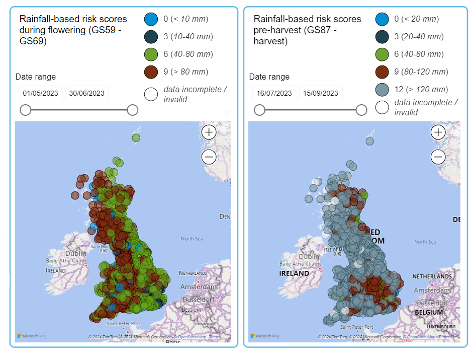 Mycotoxin Rainfall Risk Tool