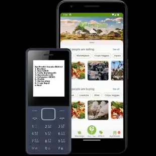 e-Extension Services