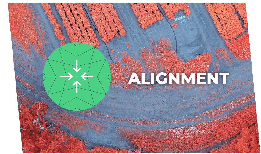 Alignment