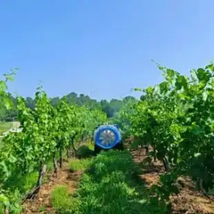 01J1SYGV0DADJV08VFTTT3N9MN