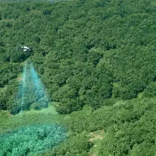 b6a10038fc1977b151c773bf96ab140c