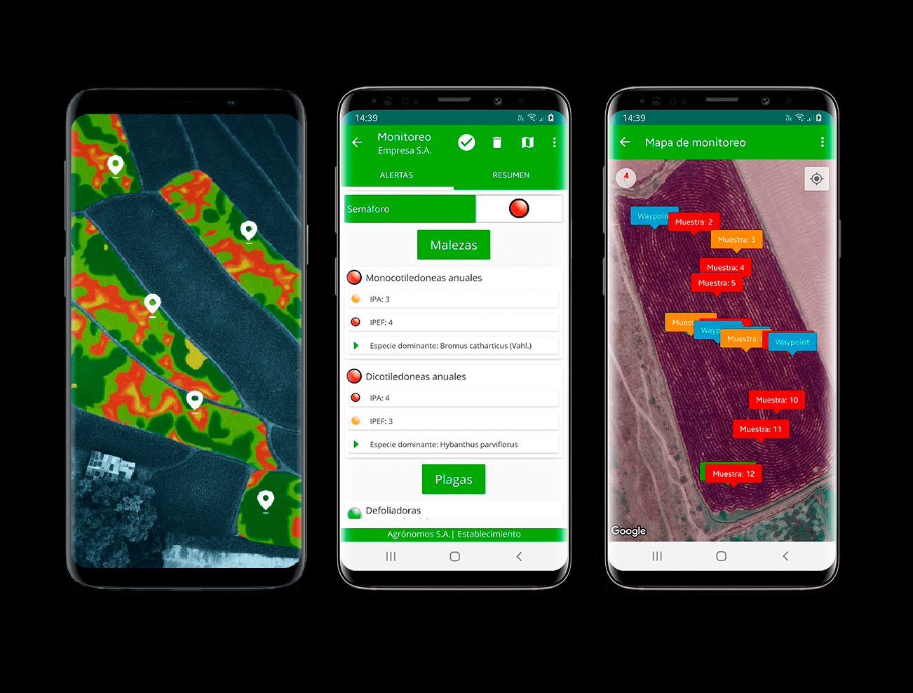 SIMA Crop Monitoring