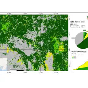 GunungMas-carbon-and-forest-lossb-768x433