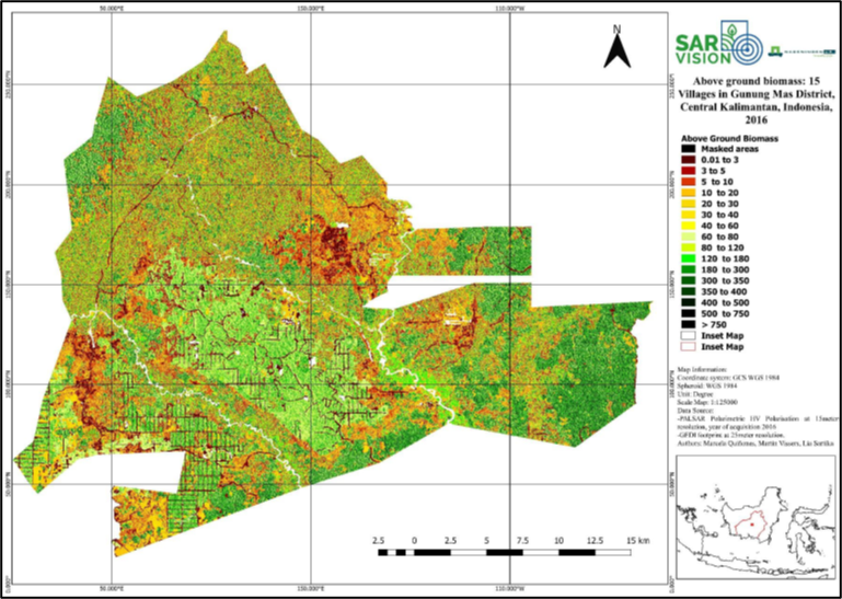 Gunung-Mas-biomass-map-1