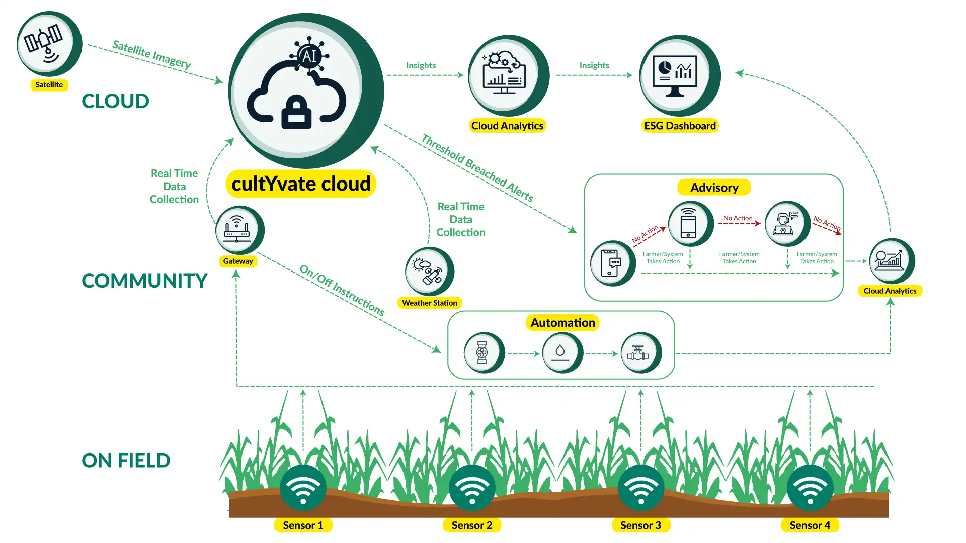 cultYvate-Infographics