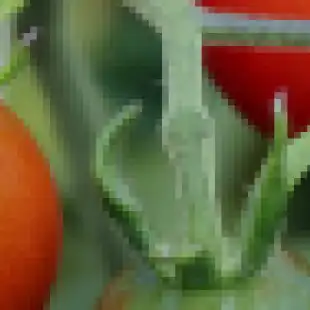 Disease & Pest Pressure Monitor