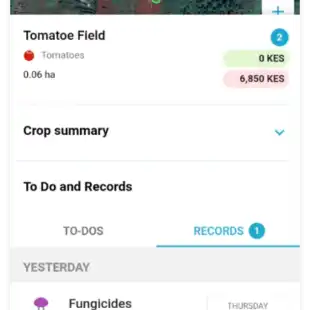 60e455b5fd06e32b93ee0650_FFL 2@2x