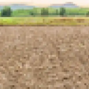 Fallow Fields Monitor