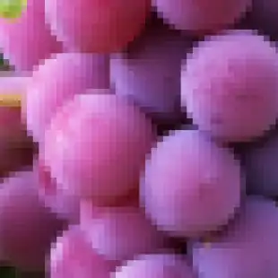 Grapes