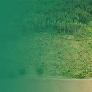 Agremo State of the Farm