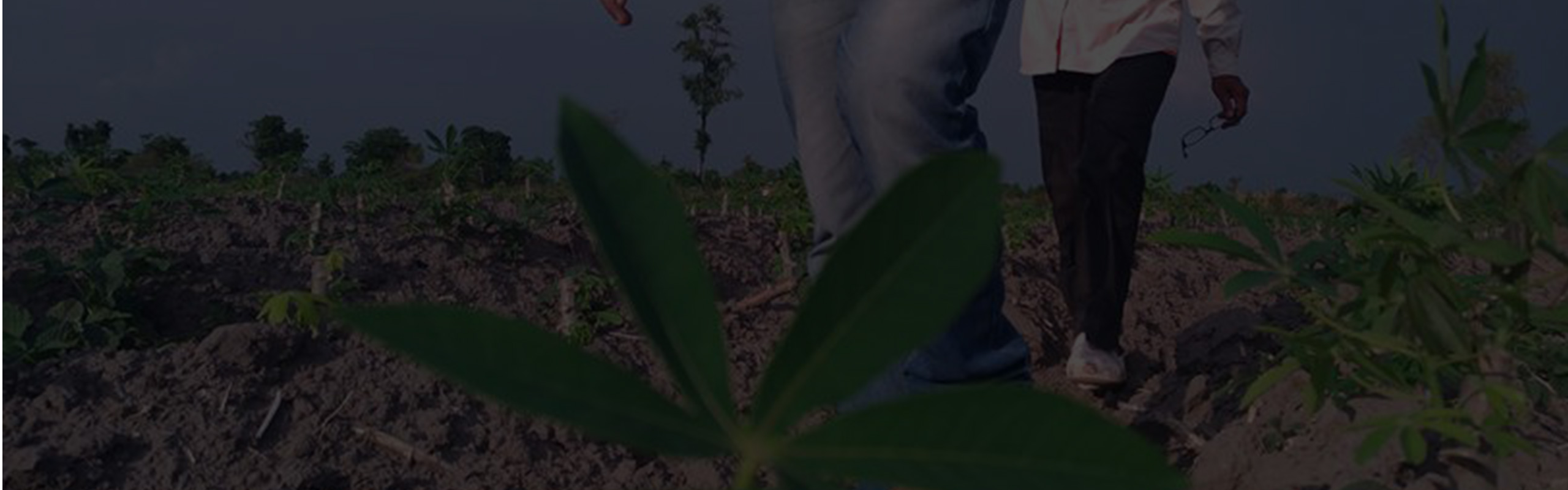 AgriBuddy