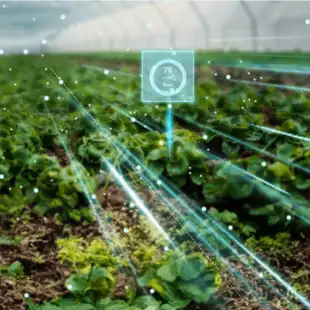 Digital Crop Advisor