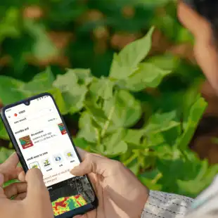 riskstac_d_our_offering2