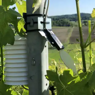 DIFESA-FITOSANITARIA