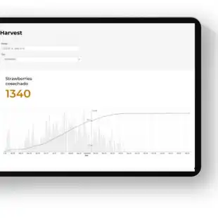 WM-yield-report-768x573