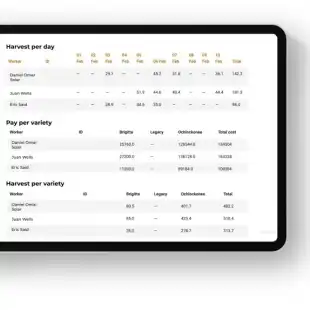 WM-harvest-numbers-768x573