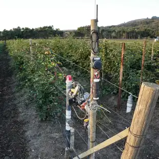 659081cae7844e205de02c8a_verdi-mega-1