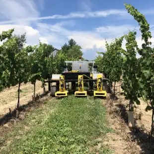 RoamIO-HCW-Farming-Robot-Mowing-1-scaled-jpg