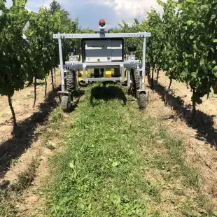 RoamIO-HCW-Farming-Robot-Mowing-2-scaled-jpg