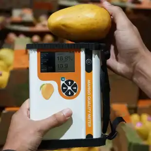 F-751 Mango Quality Meter