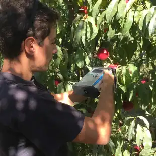 F-750 Produce Quality Meter