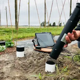 CI-602 Narrow Gauge Root Imager