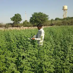 CI-340 Handheld Photosynthesis System