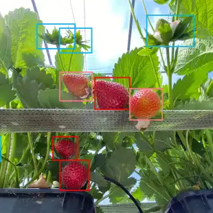 landing-text-image-1-copy_171022