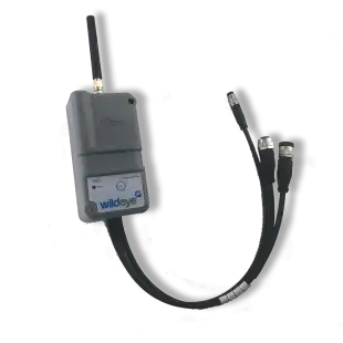 wildeyecutshadow3-1536x2048