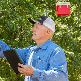 Plant Stress Monitoring