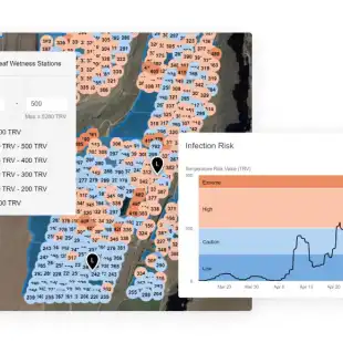 feature_disease-management_fire-blight-800x580-1