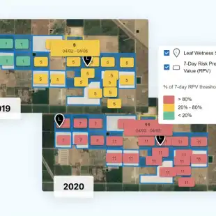 feature_disease-management_walnut-blight-risk-prediction-value-800x560-1