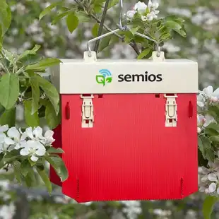 Insect Pest Management