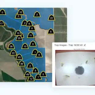 feature_pest-management_traps-800x580-1