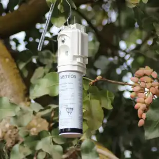 Semios-Pistachio-Mating-Disruption