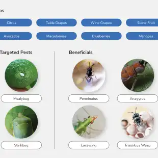 Skybugs_brochure_Oct2023_graphic