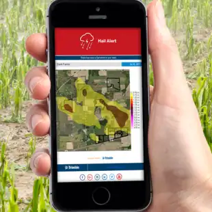 insert-module-hailalerts