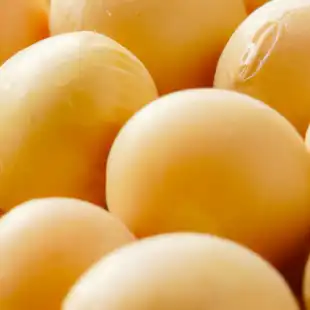 Soybean disease models