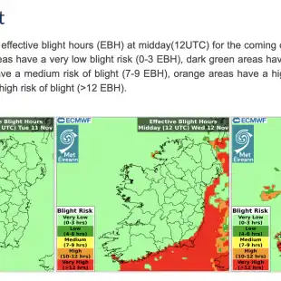 Screenshot 2025-11-09 at 16.59.42