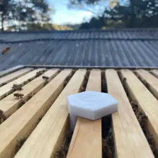 beematesense_500x375