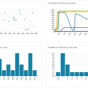 ls_group_measurements