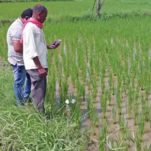 iMETOS_FWT-installation-5-300x300