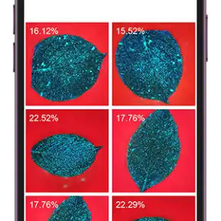 DropSight-mobile-app