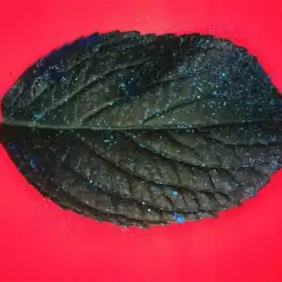 DropSight-results-02