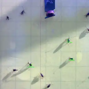 iSCOUT-time-lapse-day-1