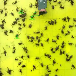 iSCOUT-time-lapse-day-3