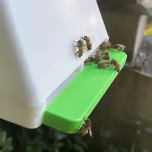 img_0385_720_720x540