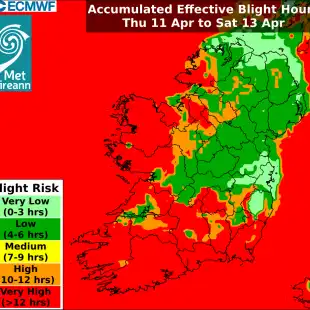 Blight Forecast