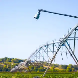 Hero-Image-Plant-Insights